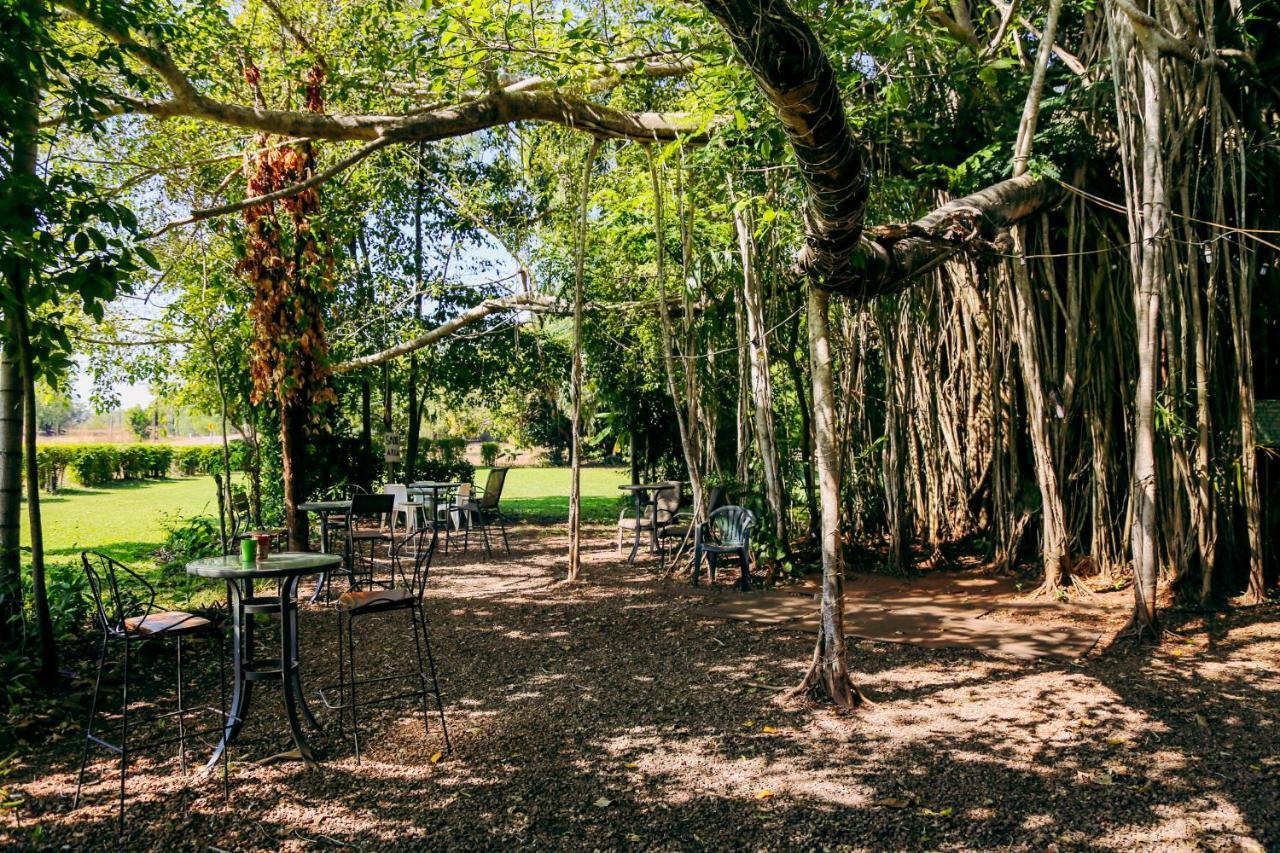 Hotel Banyan Tree à Batchelor Extérieur photo