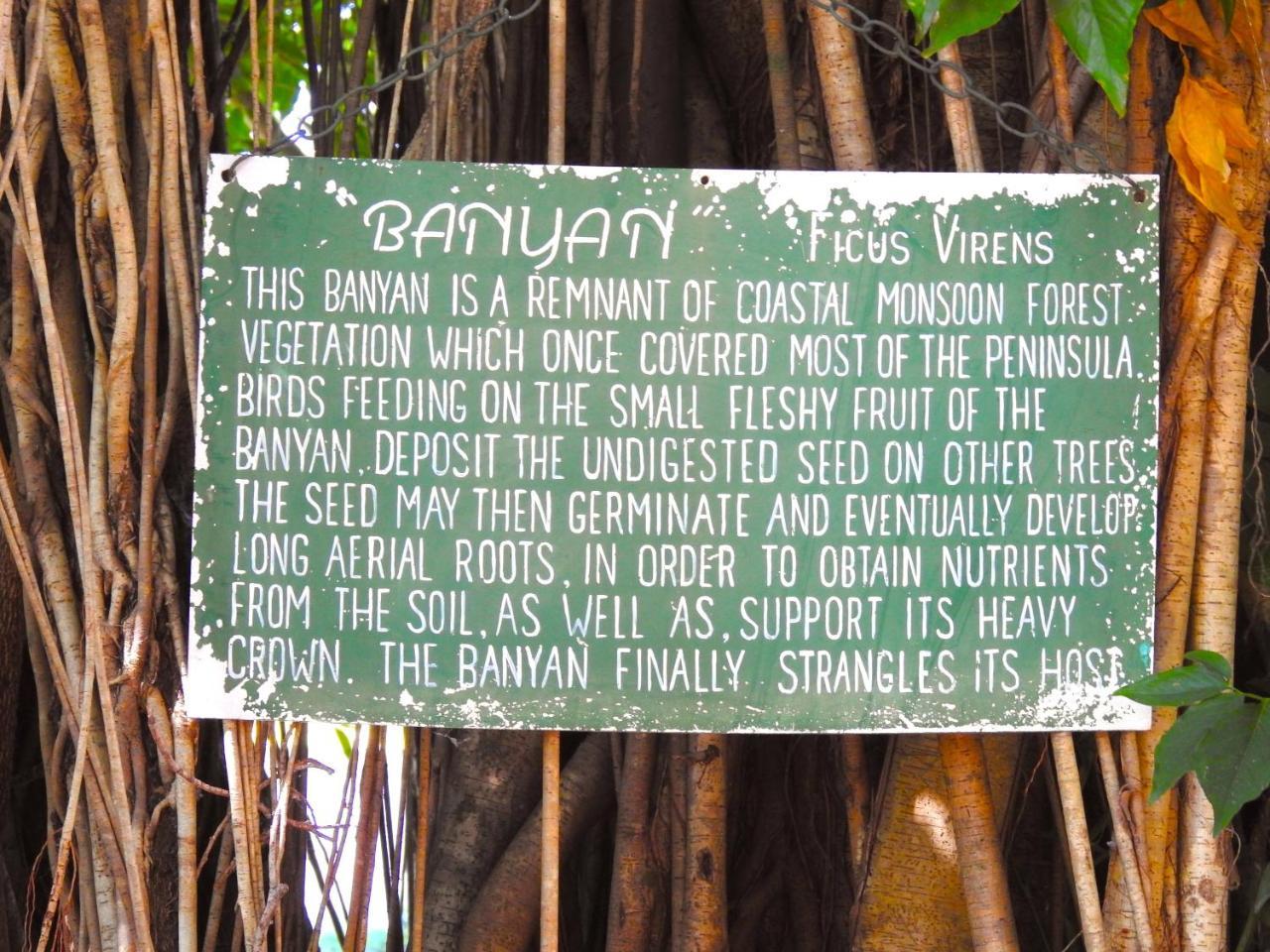 Hotel Banyan Tree à Batchelor Extérieur photo